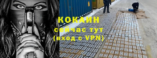 сатива Арсеньев