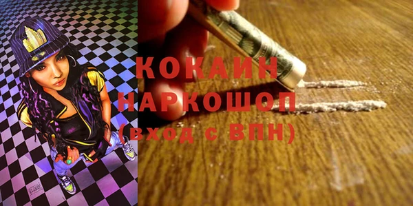 сатива Арсеньев