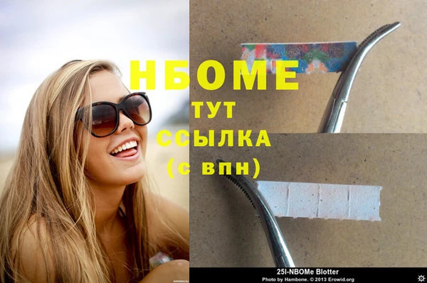 сатива Арсеньев