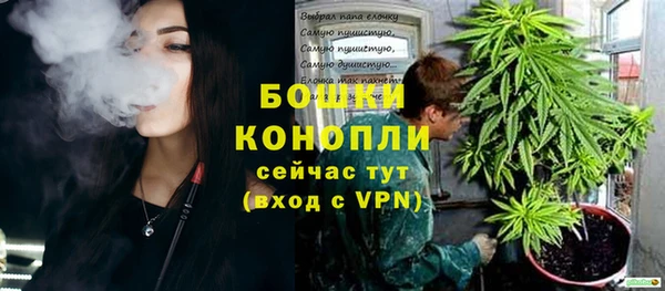шишки Сосновоборск