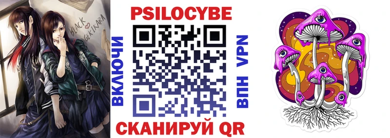 блэк спрут маркетплейс  Аша  Галлюциногенные грибы мухоморы  цена наркотик 