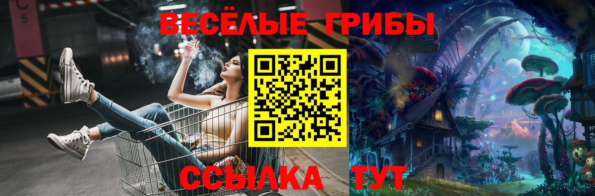 Аша  Псилоцибиновые грибы GOLDEN TEACHER  хочу   Вход с VPN 