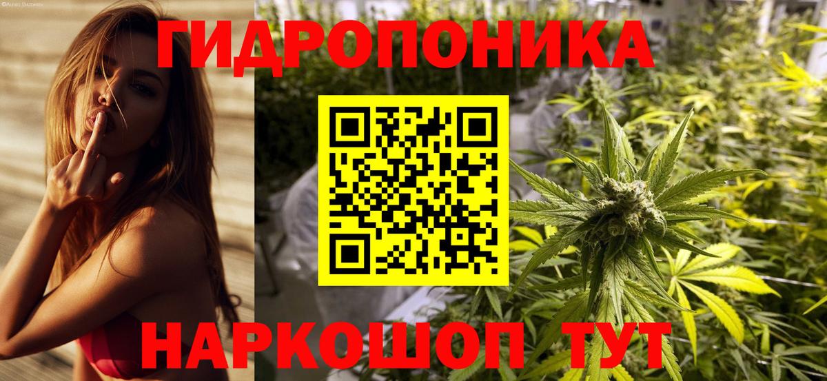 Марихуана конопля  Вход с VPN  Аша  Конопля гибрид  Канабис White Widow 